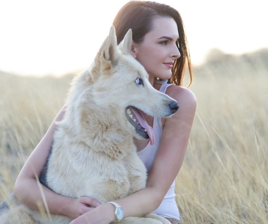 Hond HuisdierenTempel