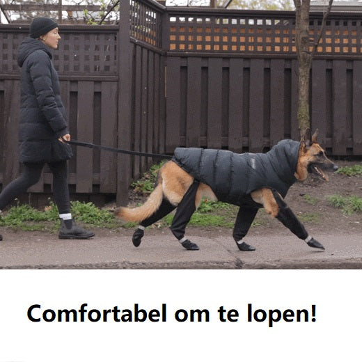 Xandra | laarzen voor honden