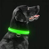 Spetter | Lichtgevende Halsband val op in het donker | Riem en harnas | honden, Riem en accesoires, Wandelen | Huisdierentempel