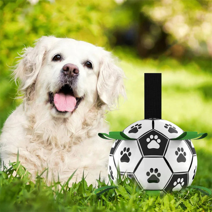 Jack | Interactieve honden bal