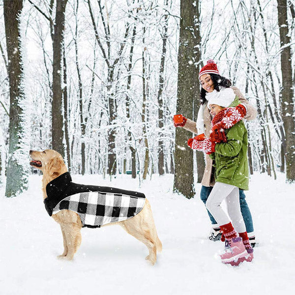 Omkeerbare Schotse ruit winter hondenjas