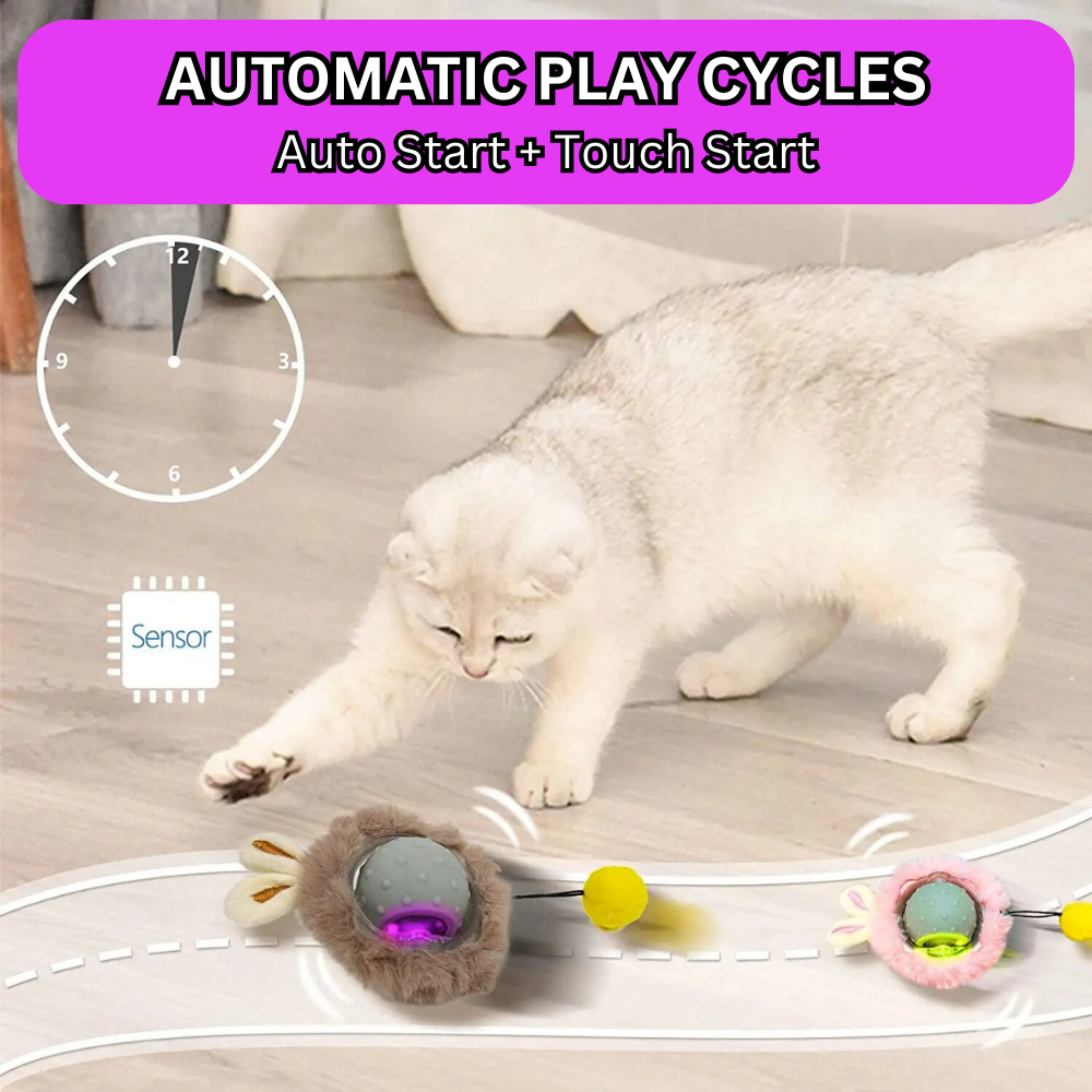 Interactief kattenspeelgoed - FelineFun Orb™