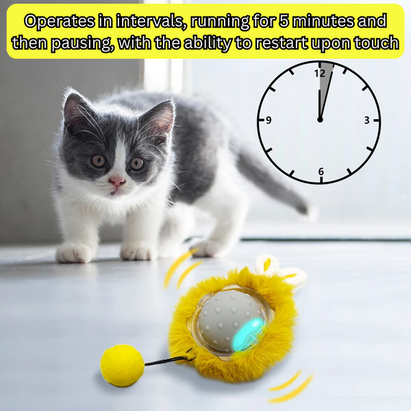 Interactief kattenspeelgoed - FelineFun Orb™