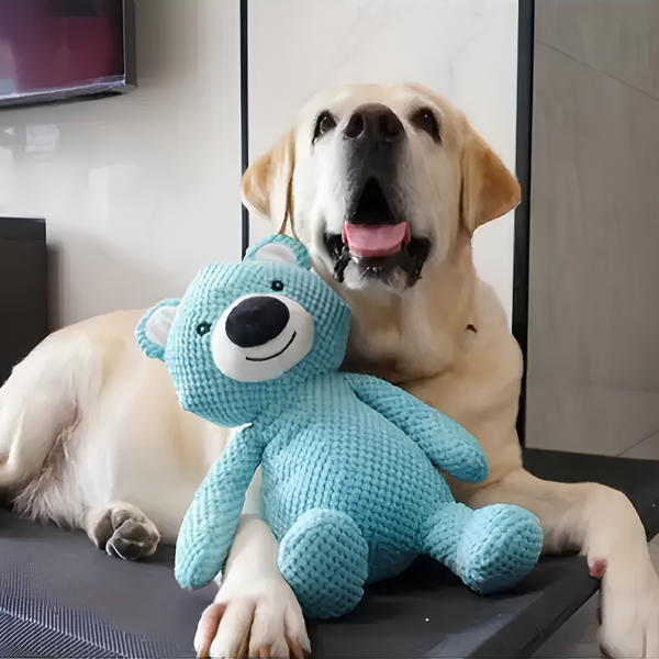 Quiana | Premium pluche speelgoed | Hondenspeelgoed | honden, Spelen | Huisdierentempel