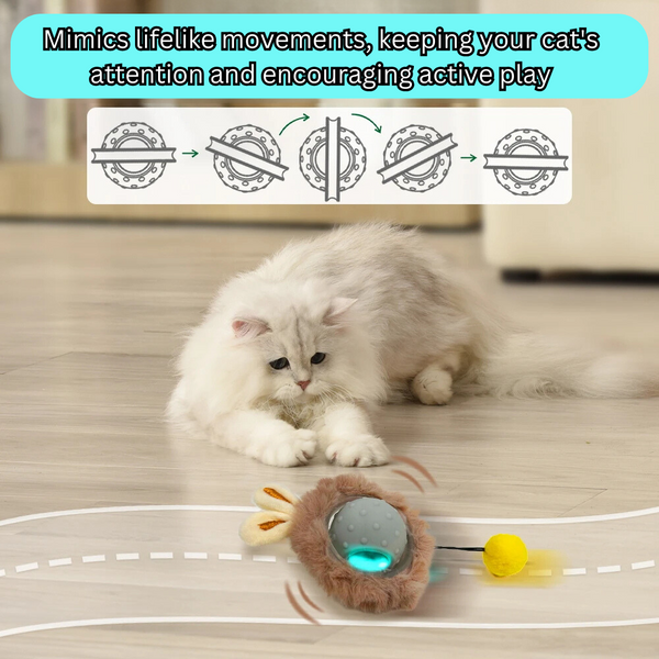 Interactief kattenspeelgoed - FelineFun Orb™