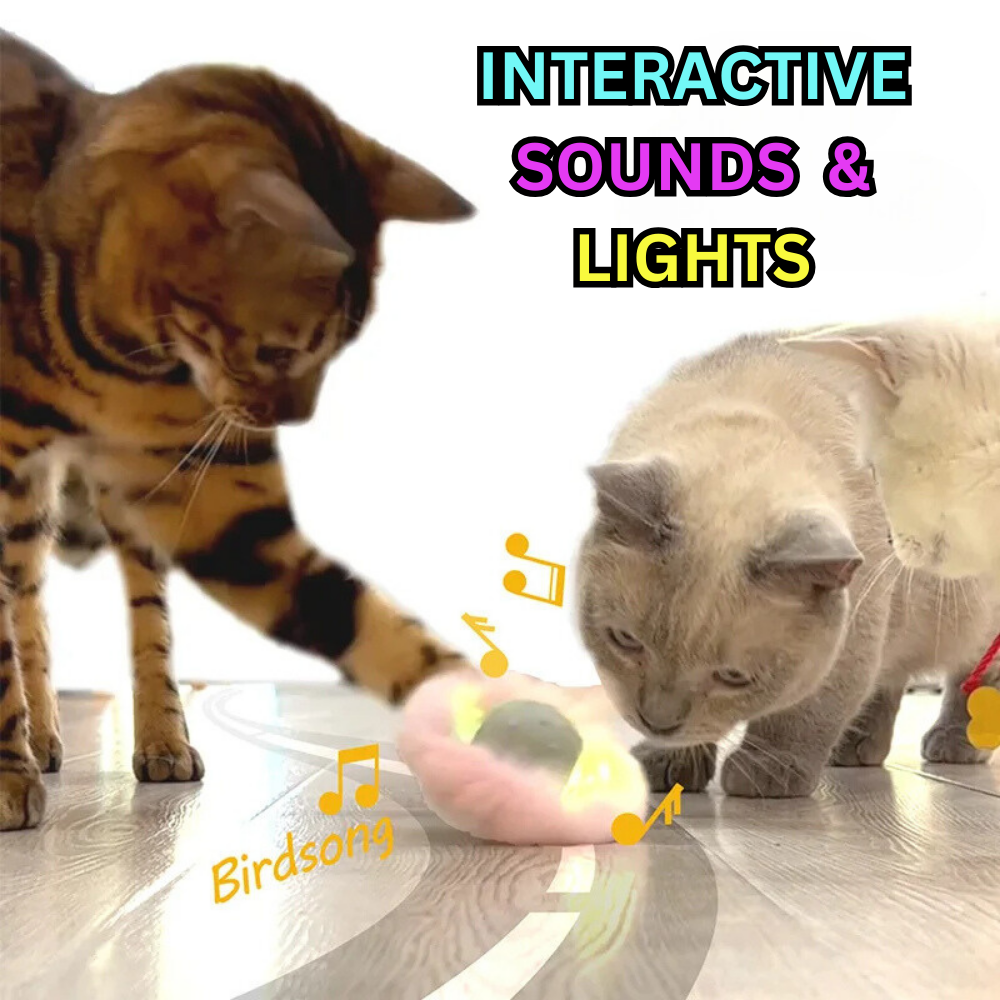 Interactief kattenspeelgoed - FelineFun Orb™