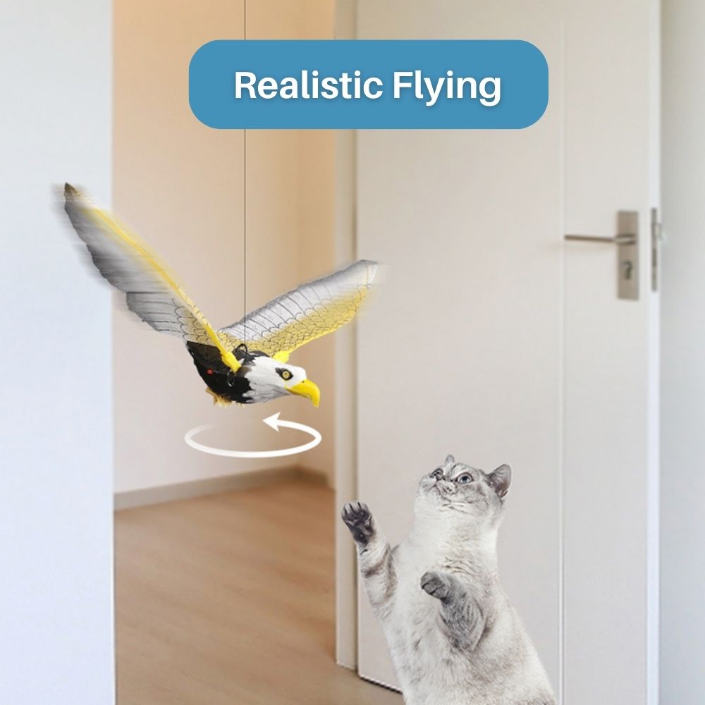 Interactief kattenspeelgoed - SkyChase™