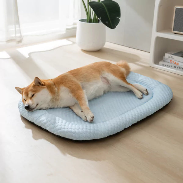 Koelmat voor Honden - Ultra bescherming tegen oververhitting