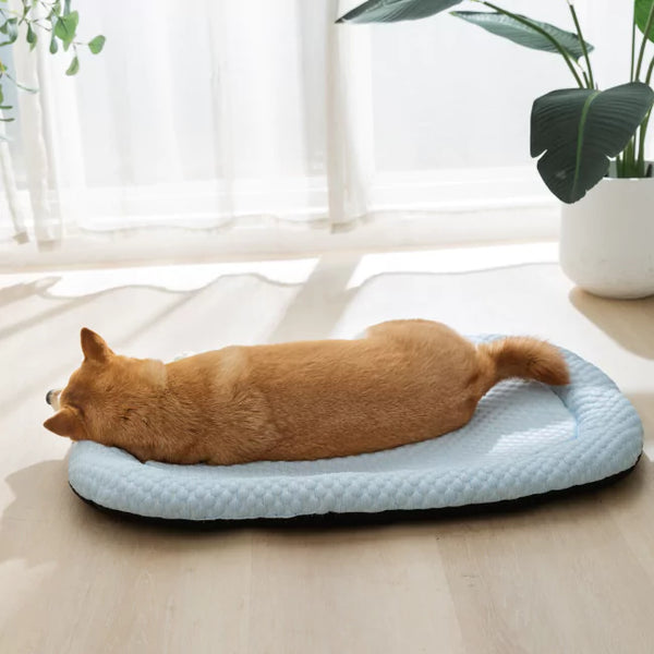 Koelmat voor Honden - Ultra bescherming tegen oververhitting