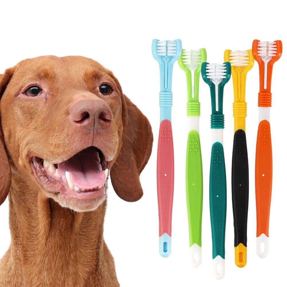 ProCare CanineSmile™ Tandenborstel voor Professionele Tandheelkundige Zorg voor Honden | Tandverzorgingsproducten | honden, katten, verzorging | Huisdierentempel