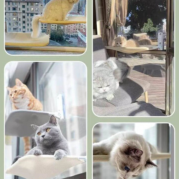 Vera - Heerlijke katten hangplek