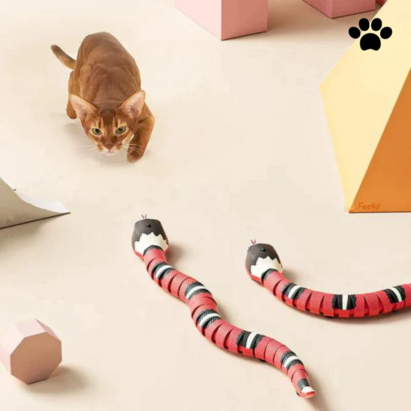 Snake | Kattenspeeltje | Bewegend kattenspeelgoed | katten, Spelen | Huisdierentempel