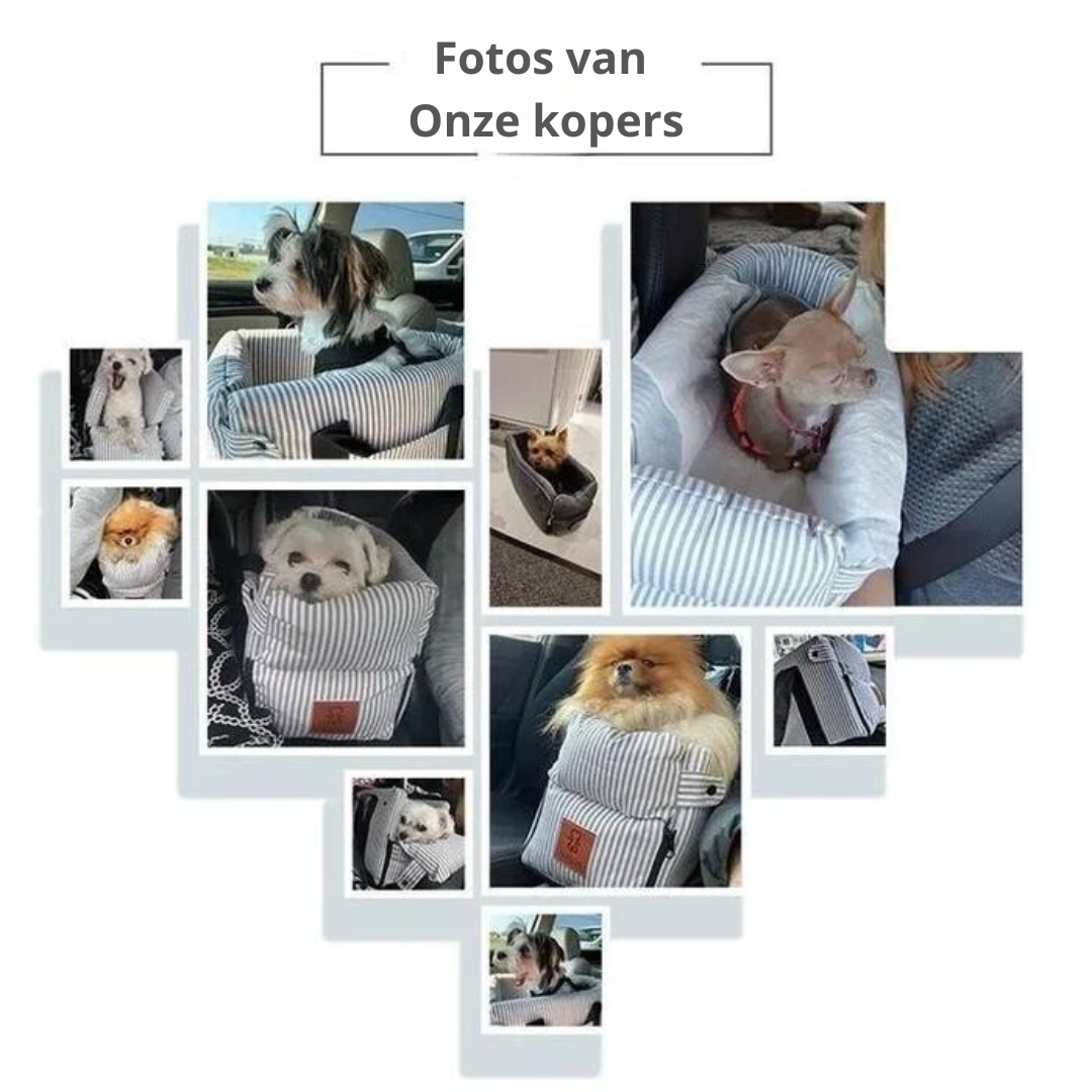 Lotte | Veilig honden autozitje