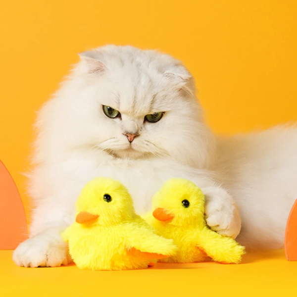 Flappende Eenden Speelgoed "Quack Buddy™ | Bewegend kattenspeelgoed | Katten, spelen | Huisdierentempel