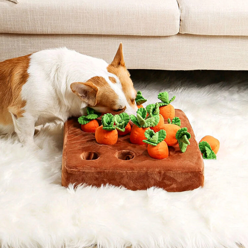 Wortel tuintje | Voerspeelgoed | honden, Spelen | Huisdierentempel