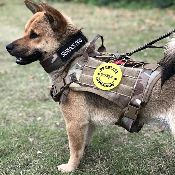 Tactisch hondentuigje voor veiligheid en controle