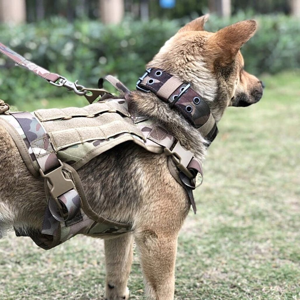 Tactisch hondentuigje voor veiligheid en controle