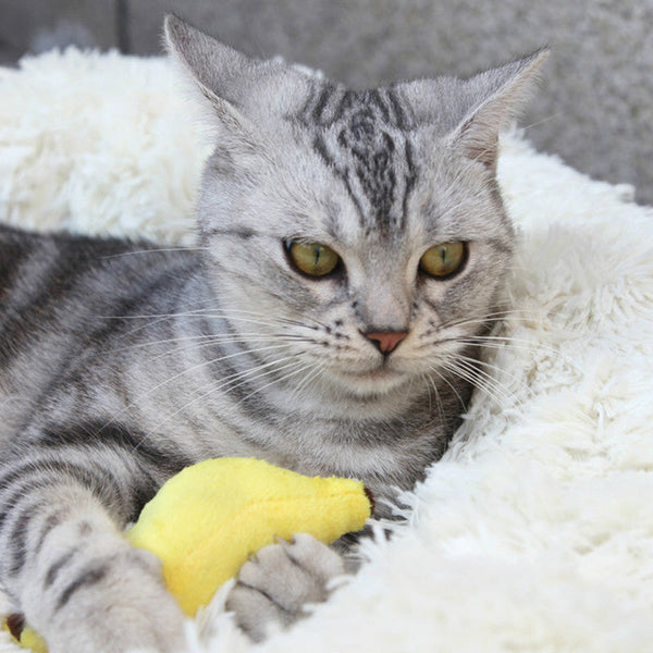 Pluche kattenspeeltje in bananenontwerp