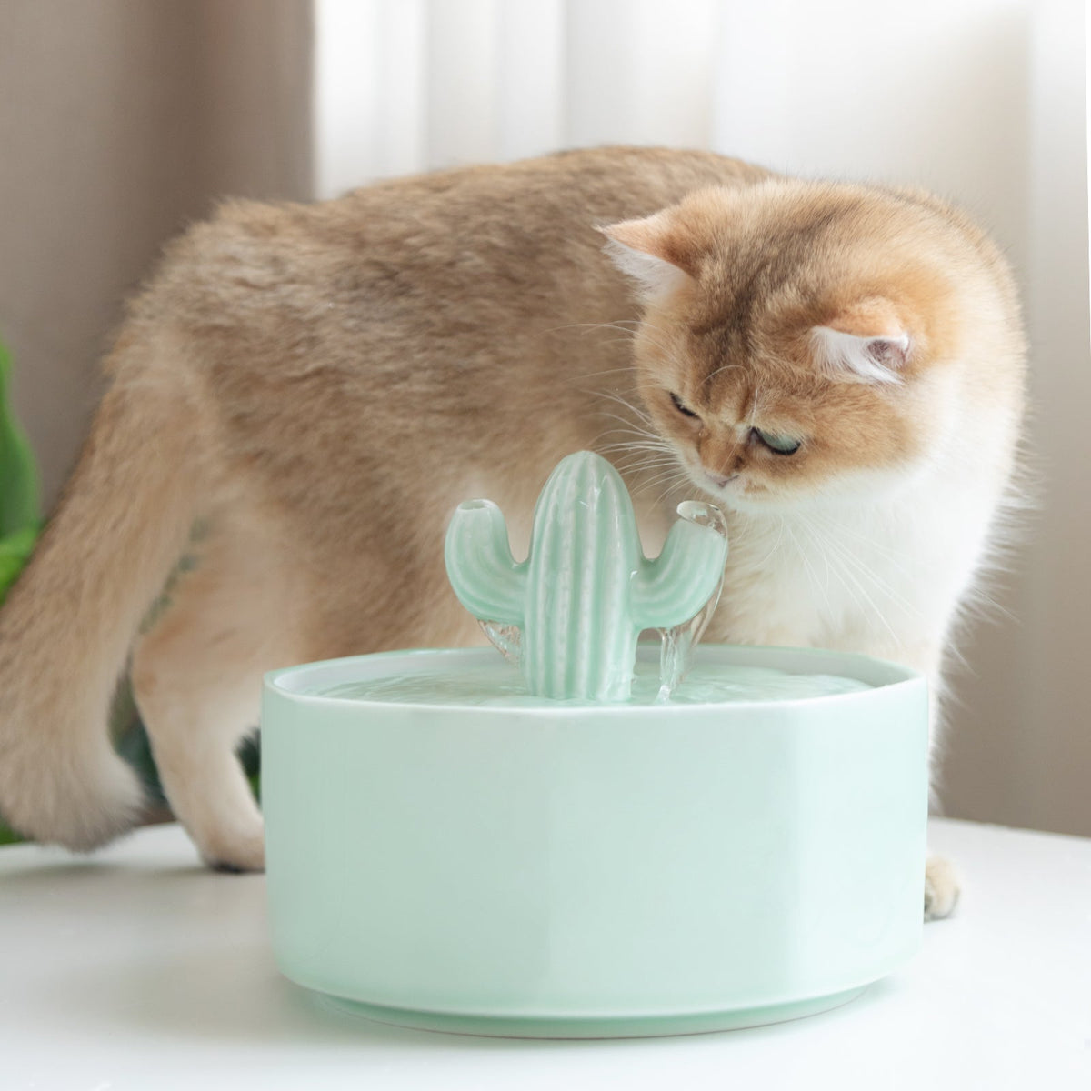 Grote 52.8oz/1.5L waterfontein voor katten met cactus thema