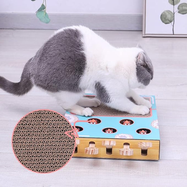 Whiskers | 3 in 1 Interactief Kattenspeelgoed