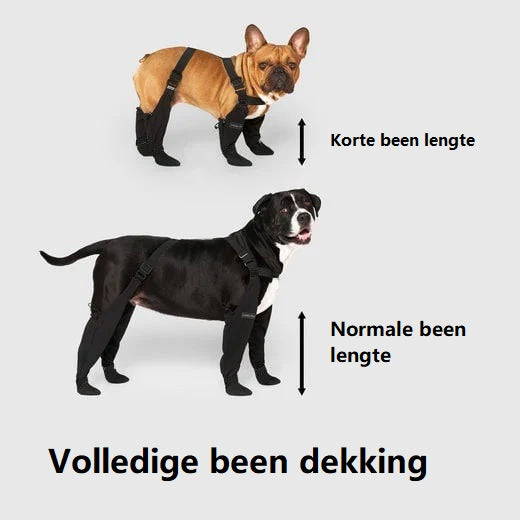 Xandra | laarzen voor honden