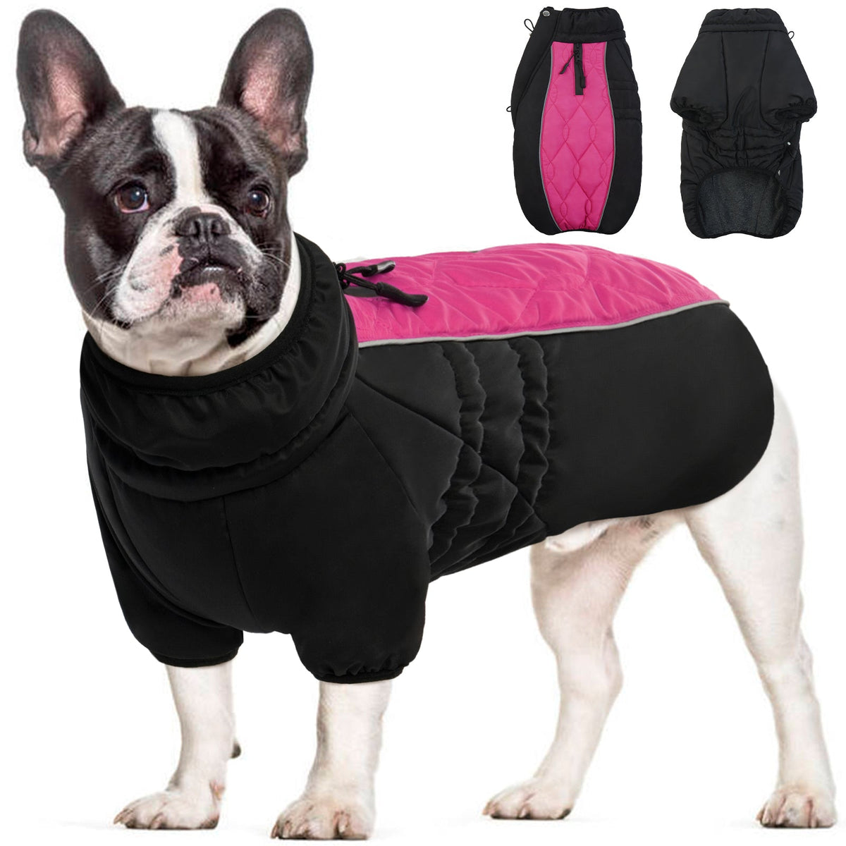 Gezellig Fleece-gevoerd Hondenjack | Hondenjas | Honden, kleding | Huisdierentempel