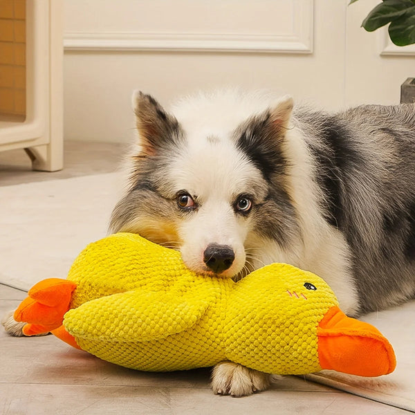 Anique | Kalmerend eend-speeltje voor honden in , – Huisdierentempel