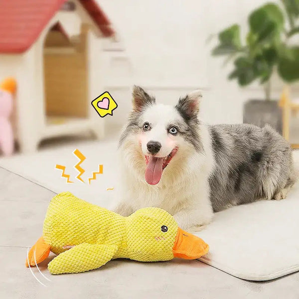 Anique | Kalmerend eend-speeltje voor honden in , – Huisdierentempel