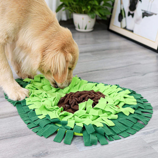 Sasha | Snuffelmat | Voerspeelgoed | honden, Spelen | Huisdierentempel