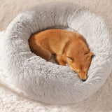 Bello | Knuffelbed in , – Huisdierentempel