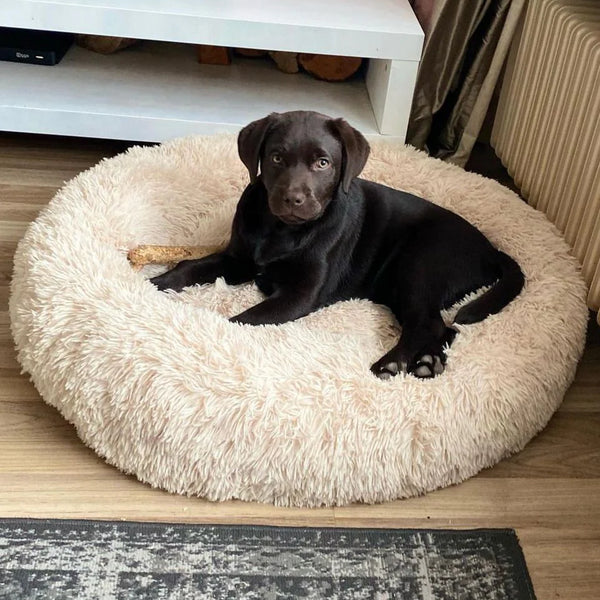 Bello | Knuffelbed in , – Huisdierentempel