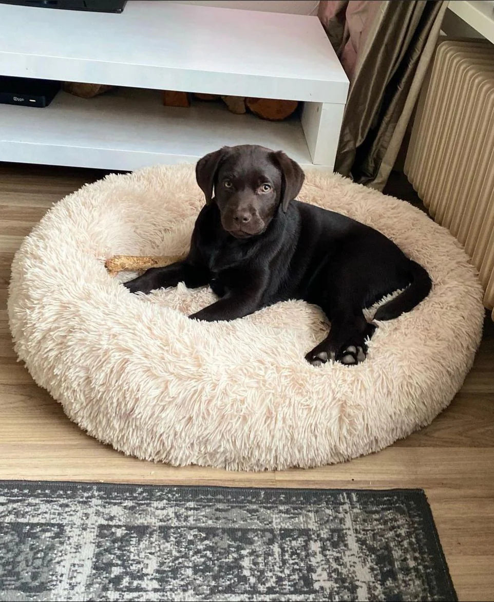 Bello | Knuffelbed in , – Huisdierentempel