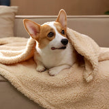 Cozy Fleece Blanket in , – Huisdierentempel