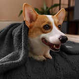 Cozy Fleece Blanket in , – Huisdierentempel