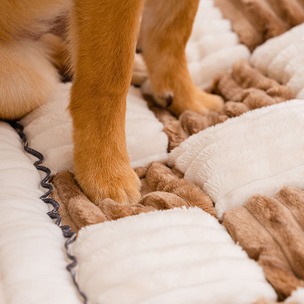 Lila | Anti Kras Huisdieren Mat & Cover