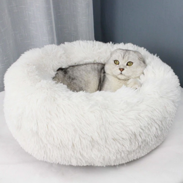 De Originele Gezellige Kattenmand™ in Wit, 40cm tot 2kg – Huisdierentempel
