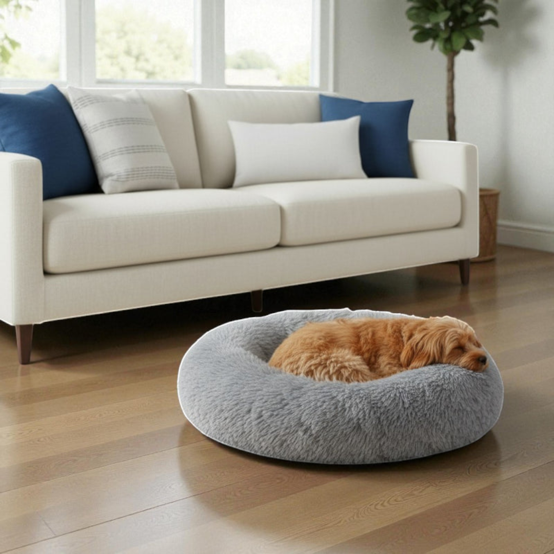 Diernest | Huisdieren mand