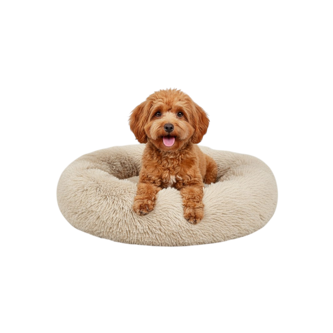 Diernest | Huisdieren mand