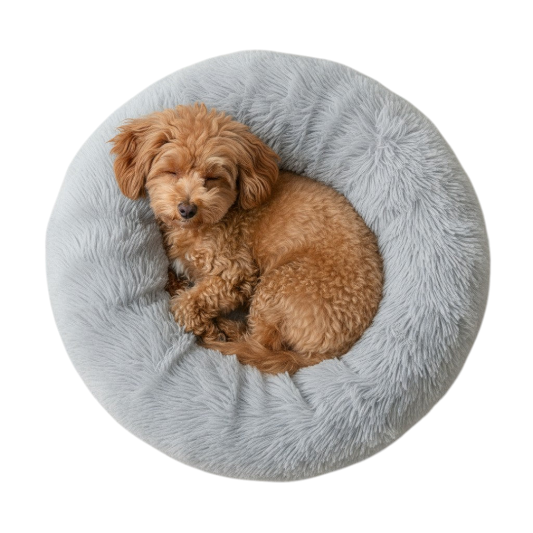 Diernest | Huisdieren mand