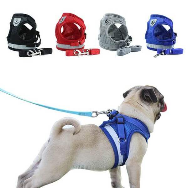Reflecterend Veiligheidstuigje en Lijnenset voor Kleine tot Middelgrote Honden | Riem en harnas | Honden, kleding, riem en accesoires, wandelen | Huisdierentempel