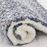 Elyse | Warm kattendekentje in Blauw & Ster, S – Huisdierentempel