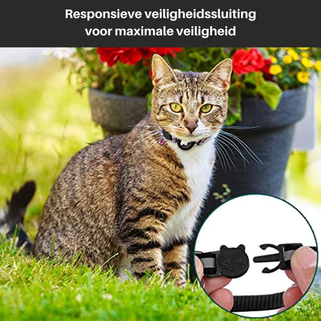 Feline Freedom™ Kattenbandje met Veiligheidsluiting | Gps tracker / Airtag houder in , – Huisdierentempel