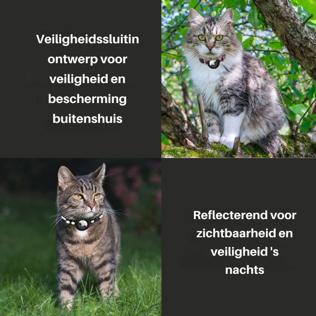 Feline Freedom™ Kattenbandje met Veiligheidsluiting | Gps tracker / Airtag houder in , – Huisdierentempel