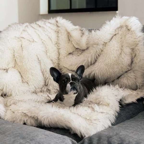 Fluffy Waterdicht Gooideken in , – Huisdierentempel