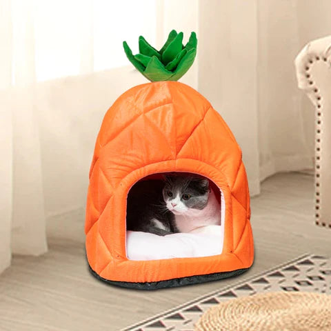 Chloë | Ananashuis | Manden | bedden, honden, katten, Konijn, Manden | Huisdierentempel