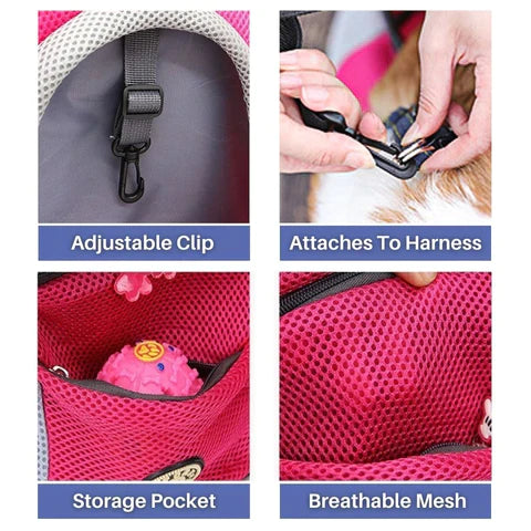 Hondenrugzak in , – Huisdierentempel