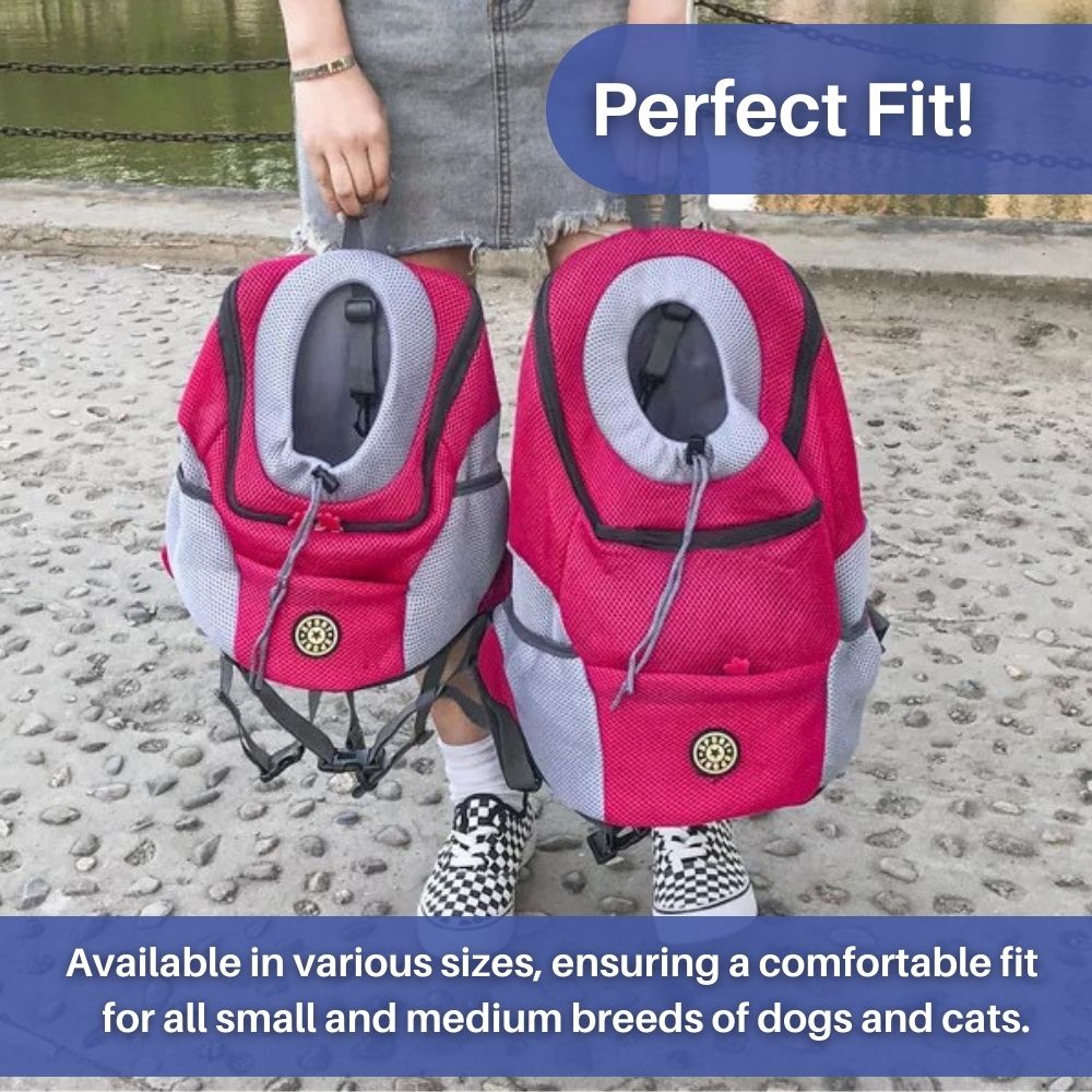 Hondenrugzak in , – Huisdierentempel