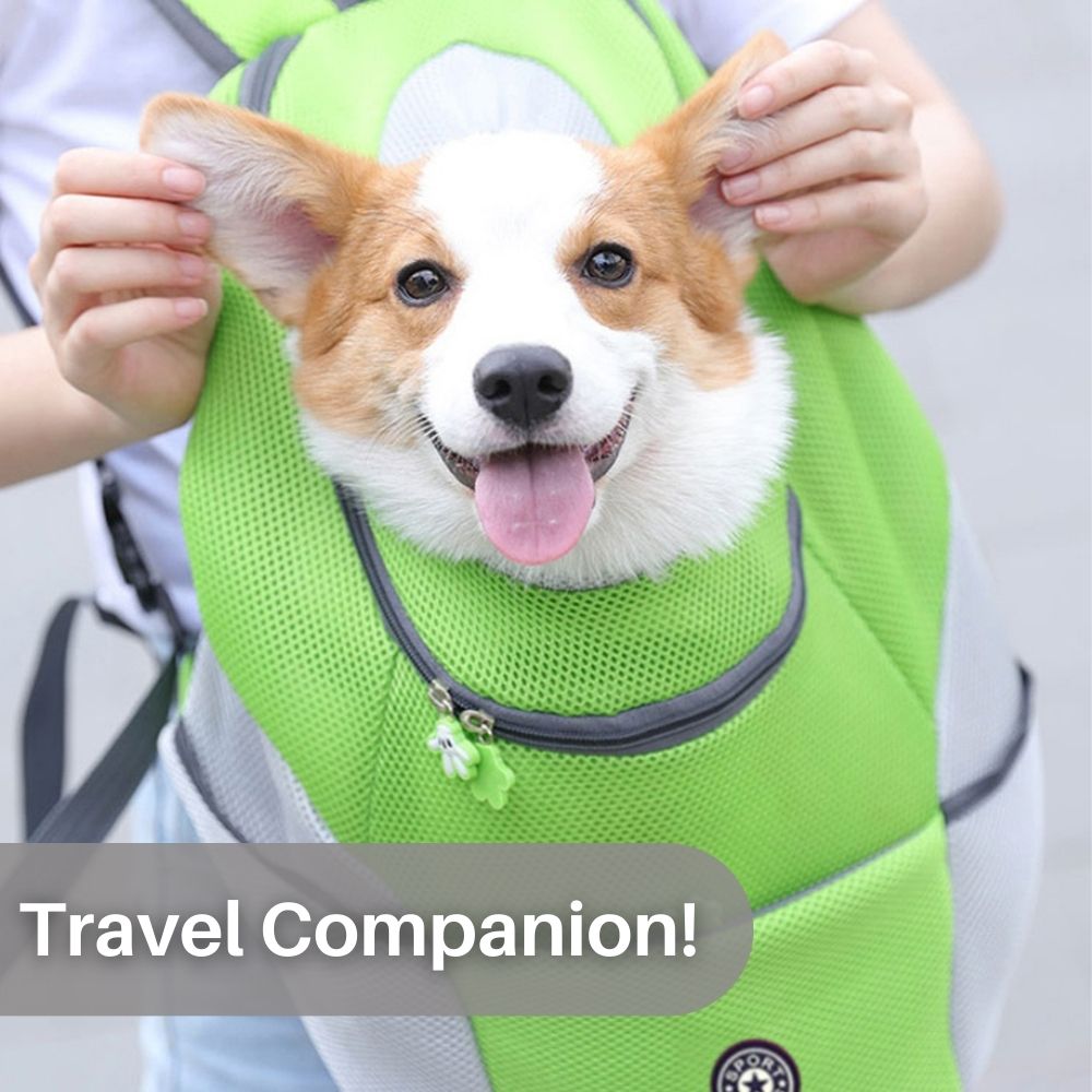 Hondenrugzak in , – Huisdierentempel