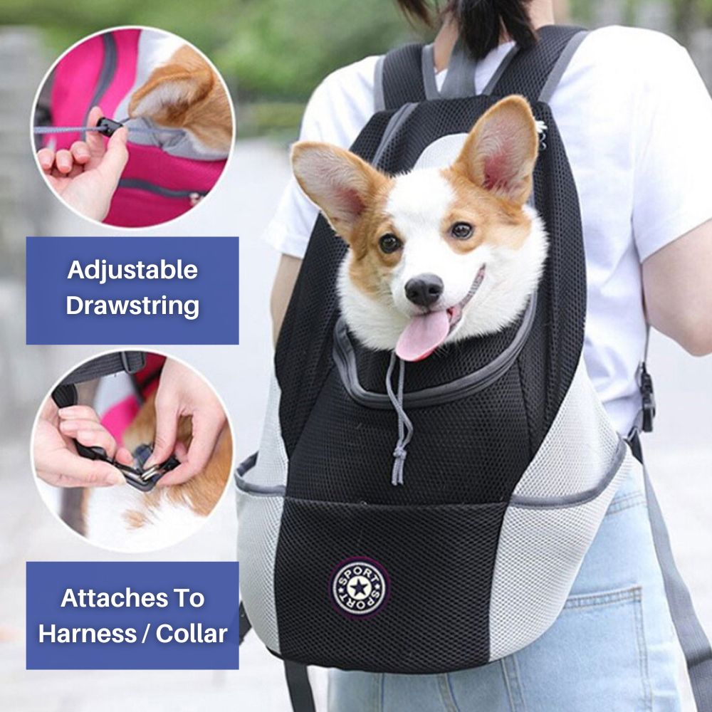 Hondenrugzak in Zwart, Klein (1-3kg) – Huisdierentempel