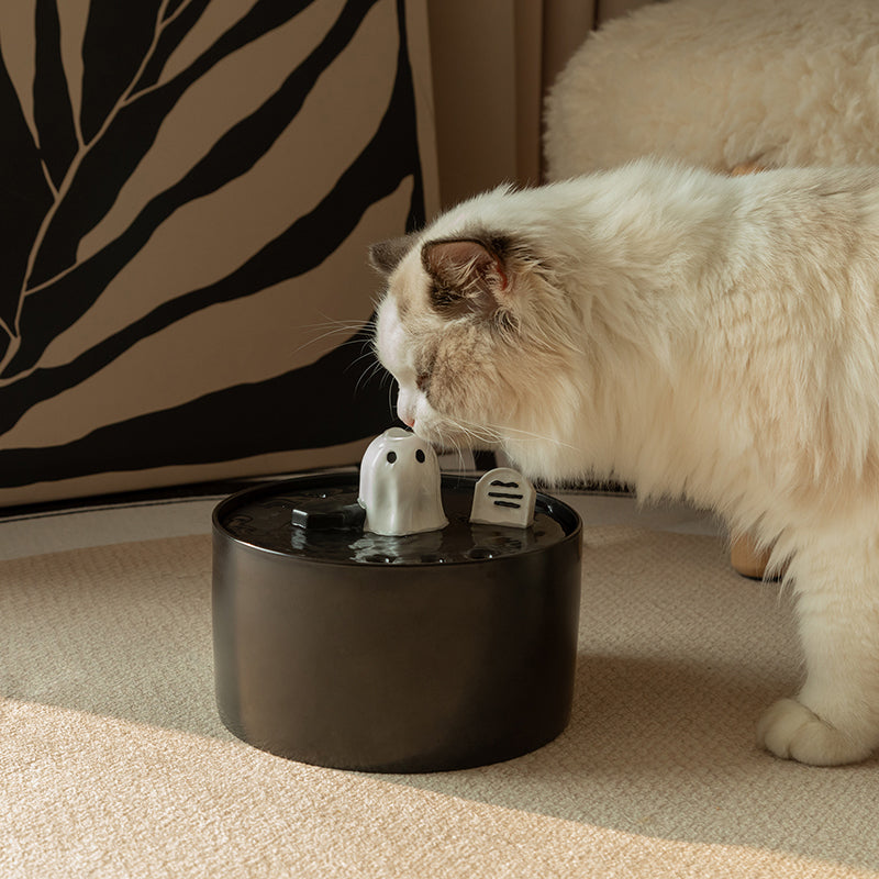 Verhoog de hydratatie van jouw kat met een 52.8oz/1.5L Geest Drinkfontein